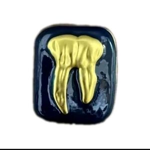 Schiaparelli 1 Brooch buttons